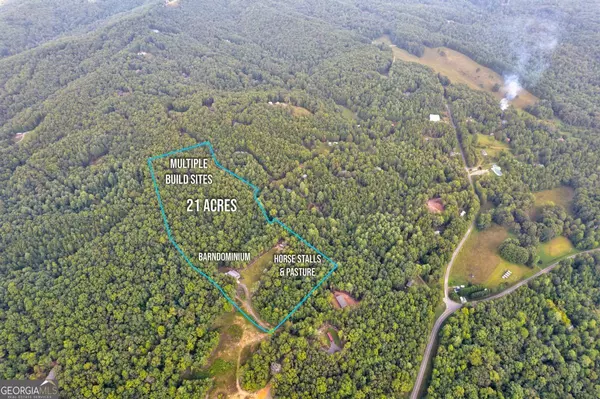 Mineral Bluff, GA 30559,21 Ac Bear Hollow DR
