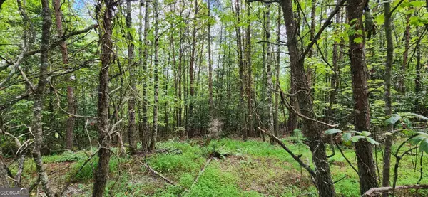 Mineral Bluff, GA 30559,LOT 45 Old Mill Pond RD