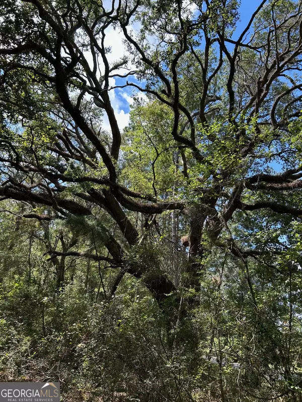 Claxton, GA 30417,4750 Deloach Church RD