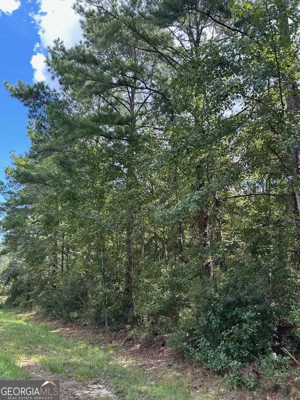 Claxton, GA 30417,4750 Deloach Church RD