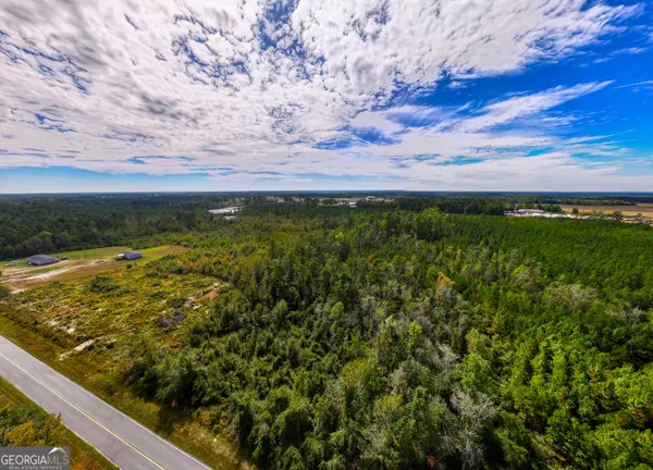 Swainsboro, GA 30401,14.53 ACRES Gumlog RD