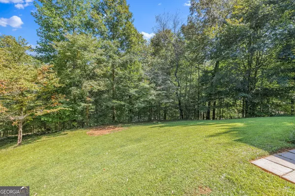 Dahlonega, GA 30533,11 Lake TRL