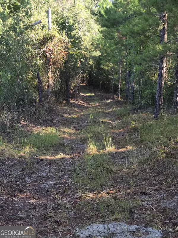 Adrian, GA 31002,0 Trinity Church RD