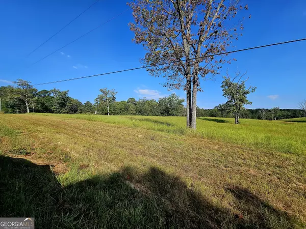 0 Antioch RD #TRACT 3, Franklin, GA 30217