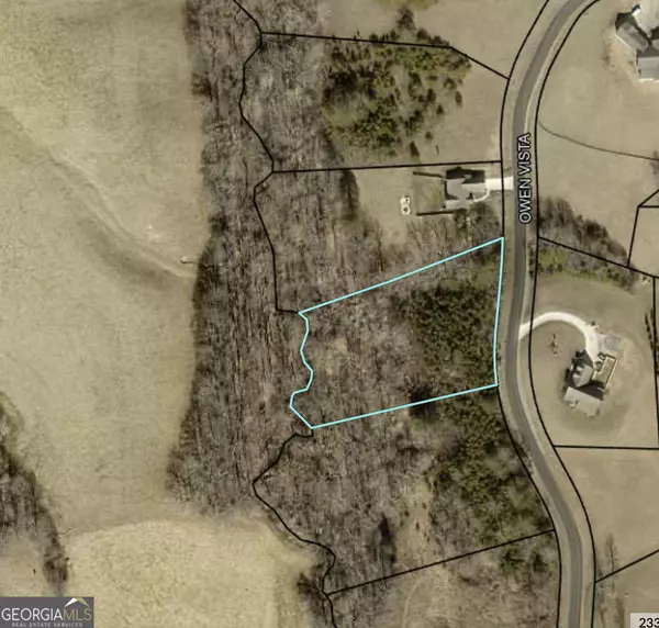 Blairsville, GA 30512,LOT 44 Owen Vista