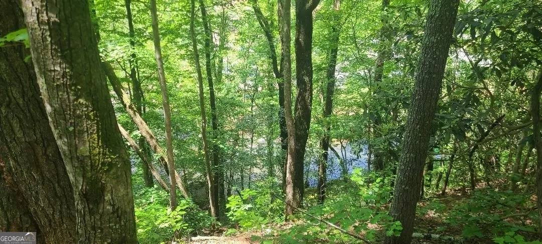 Helen, GA 30545,0 Ber Weg