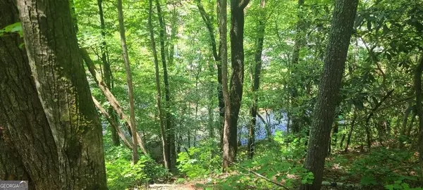 Helen, GA 30545,0 Ber Weg