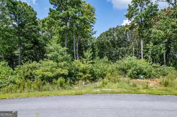 Talking Rock, GA 30175,LOT 112 Twisted Oak RD
