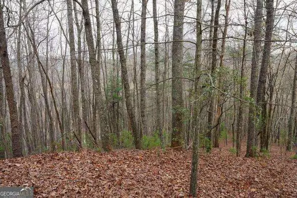 Clayton, GA 30525,0 Round Top #43B