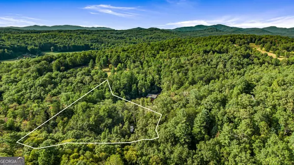 Mineral Bluff, GA 30559,0 Evergreen LN