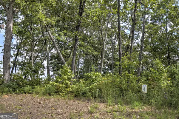 Blue Ridge, GA 30513,3 White Oak CIR