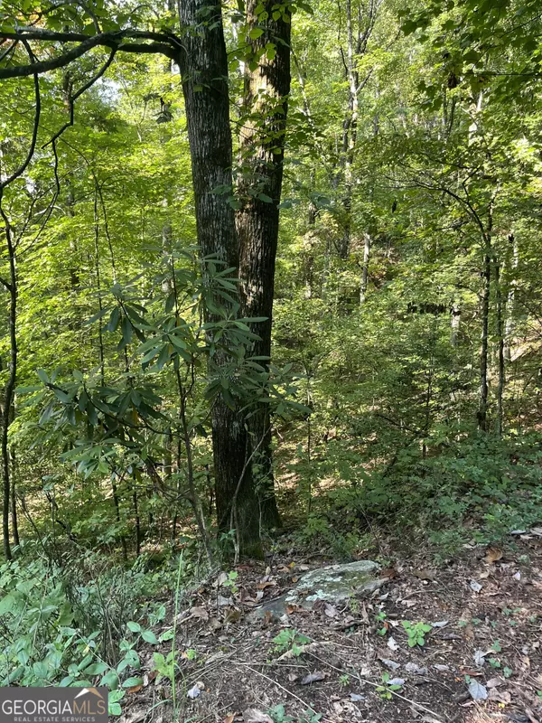 Clayton, GA 30525,0 Tuckaway LN