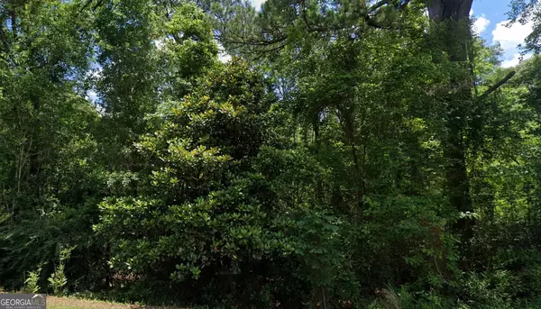 Citronelle, AL 36522,0 Beverly Jeffries Hwy #LOT 17