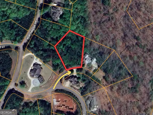 Dahlonega, GA 30533,923 Golden Bear CT