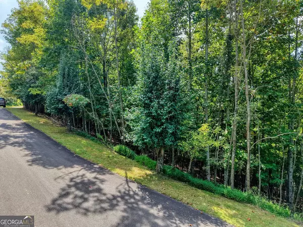 LOT 32 Westside DR, Blairsville, GA 30512