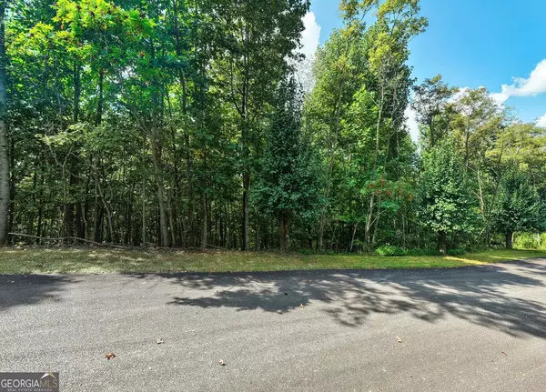 Blairsville, GA 30512,LOT 32 Westside DR