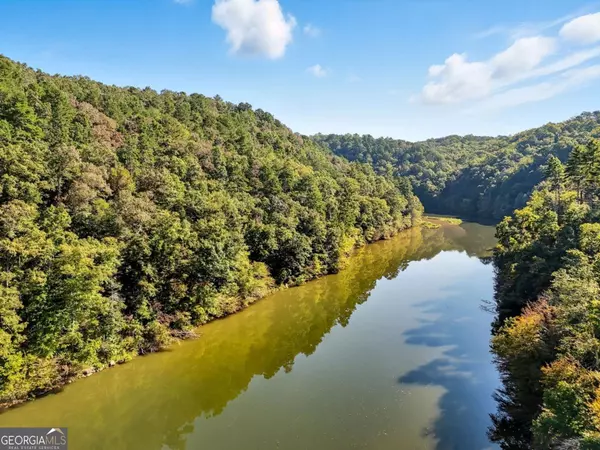 Ellijay, GA 30540,650 Myna DR #986