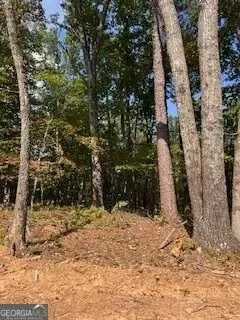 Rockmart, GA 30153,280 Eastwood PATH