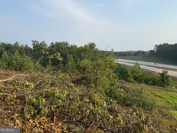 Martin, GA 30557,0 US Hwy 17