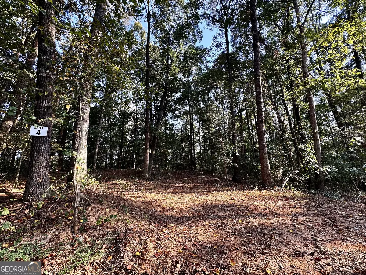 Pendergrass, GA 30567,0 Kinney Creek LN