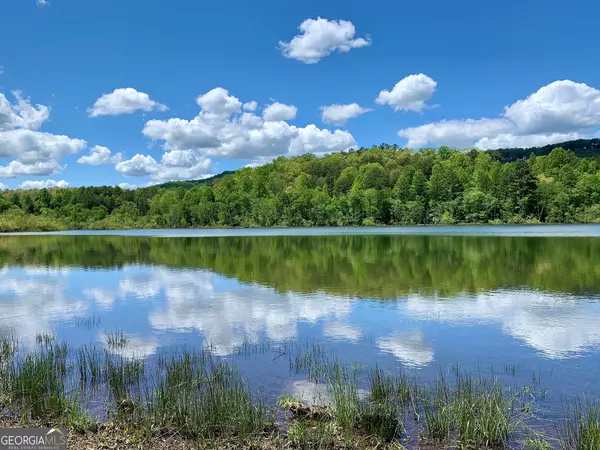 Blairsville, GA 30512,251 Walnut RD