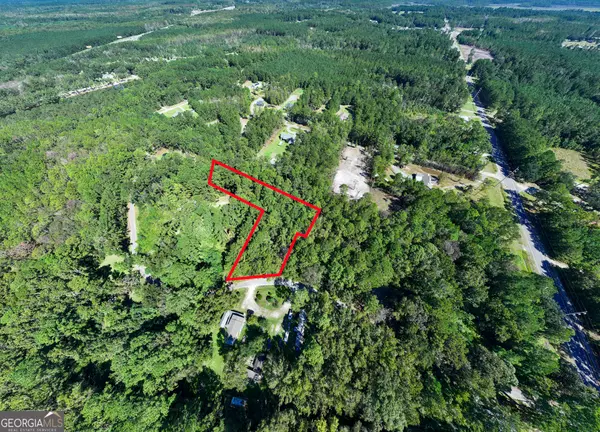 3 ACRES Lewis LN SW, Townsend, GA 31331