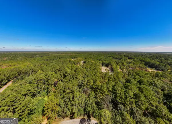 Townsend, GA 31331,3 ACRES Lewis LN SW