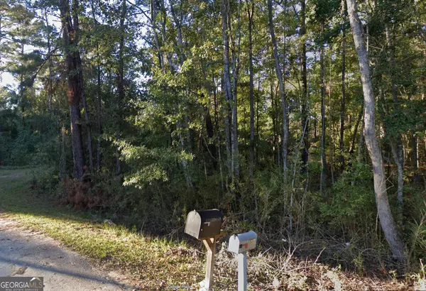 Townsend, GA 31331,3 ACRES Lewis LN SW