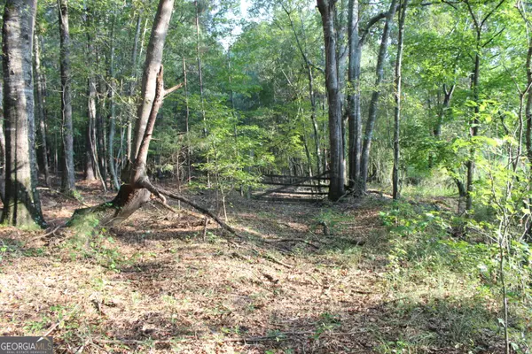 Oxford, GA 30054,0 Ellington RD