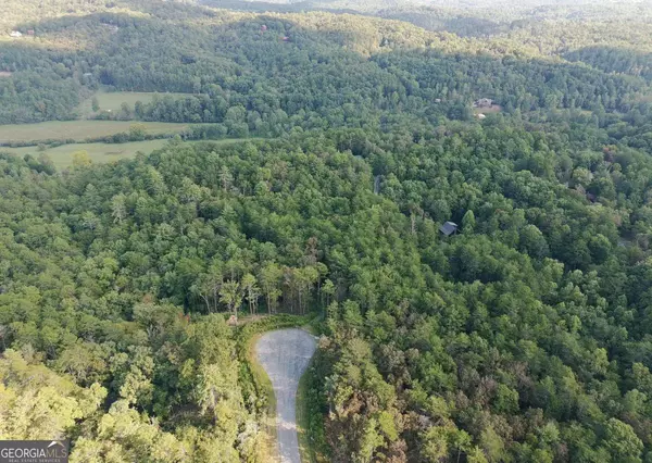 Mineral Bluff, GA 30559,LOT 41 Mountain Laurel RDG