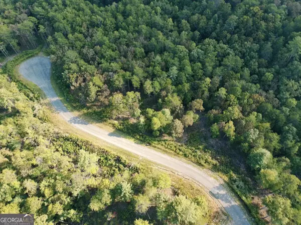 Mineral Bluff, GA 30559,LOT 41 Mountain Laurel RDG