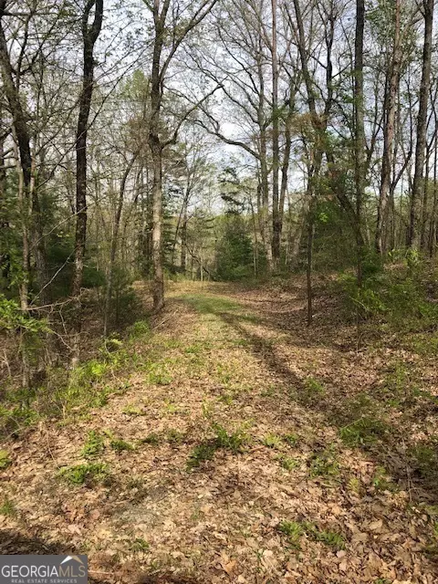 Ellijay, GA 30540,LT 17B Lakeland DR