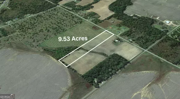 Donalsonville, GA 39845,01 Brackin RD