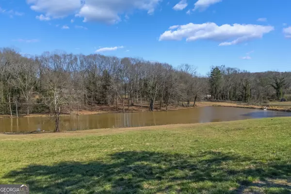 Carnesville, GA 30521,0 Manley ST