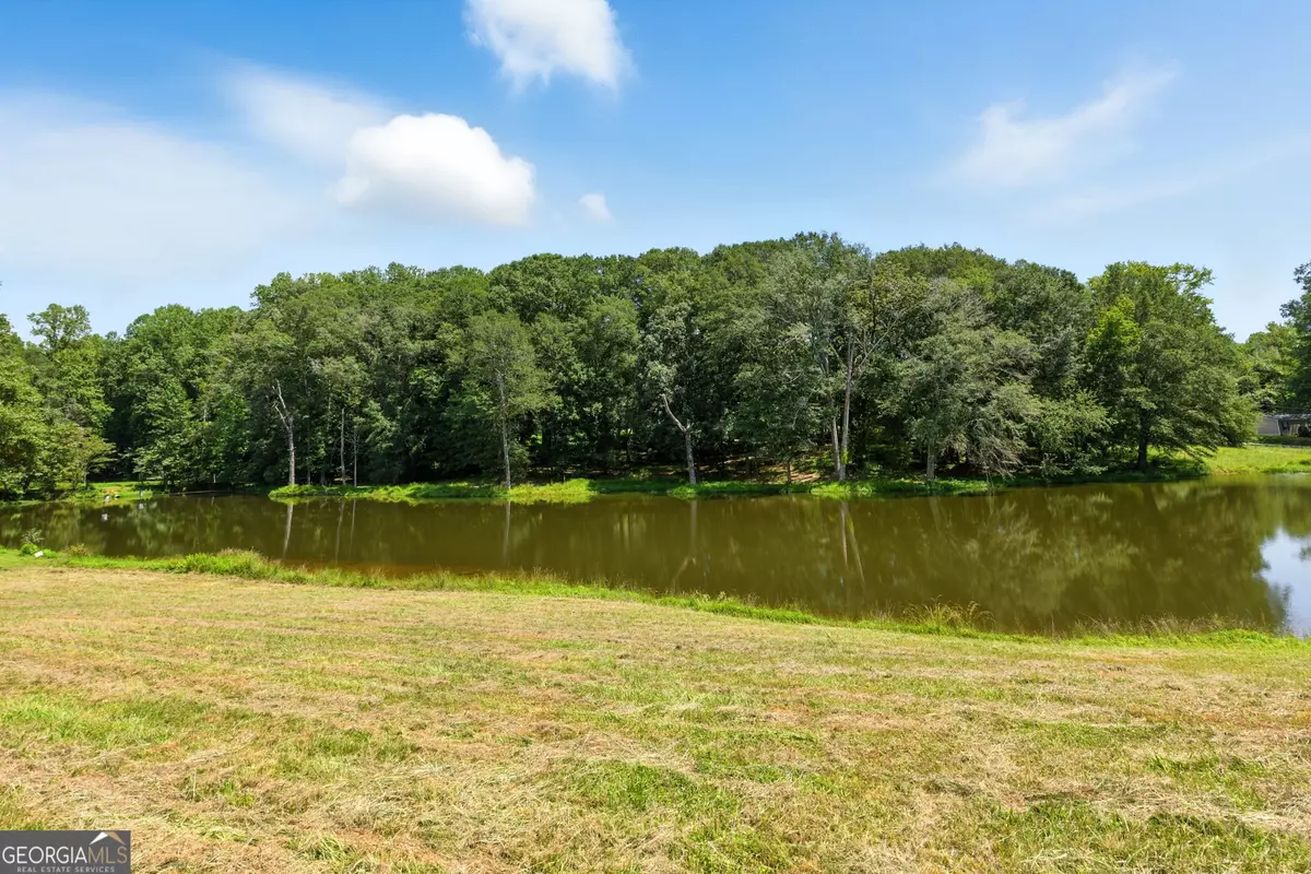 Carnesville, GA 30521,0 Manley ST