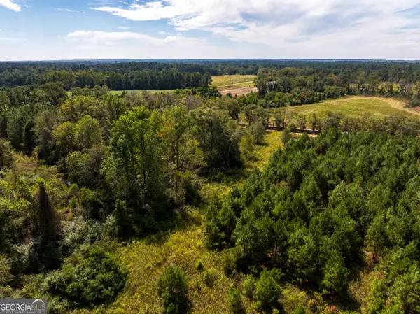 Cobbtown, GA 30420,9.5 ACRES Danny Martin RD