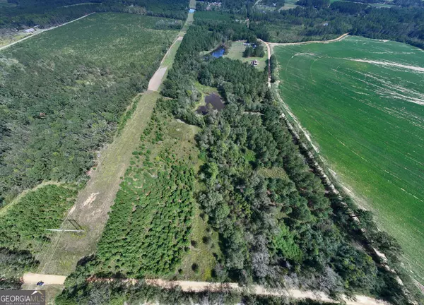 Cobbtown, GA 30420,9.5 ACRES Danny Martin RD