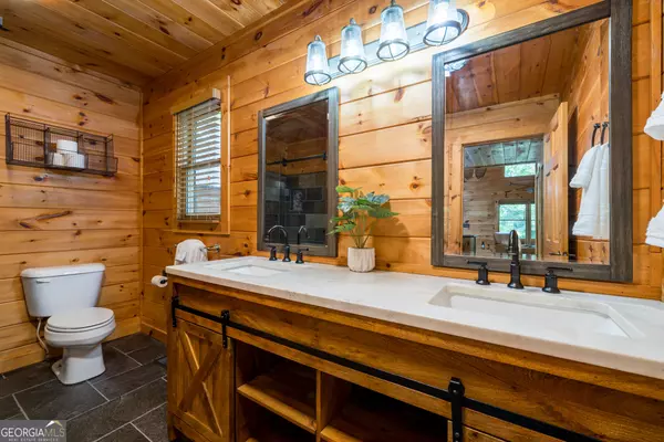 Blue Ridge, GA 30513,329 Carlie TRL