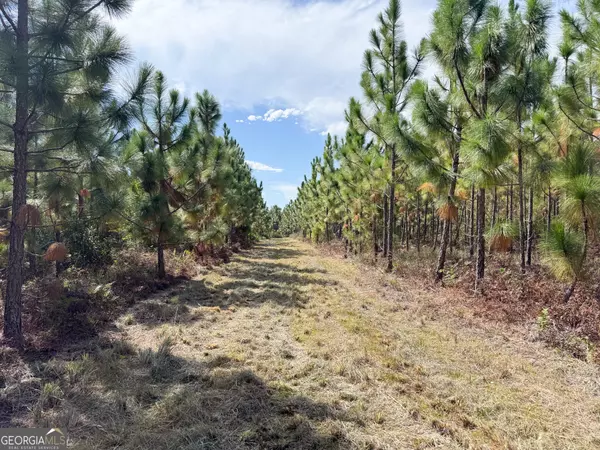 Baxley, GA 31513,100 Doc Hunter RD