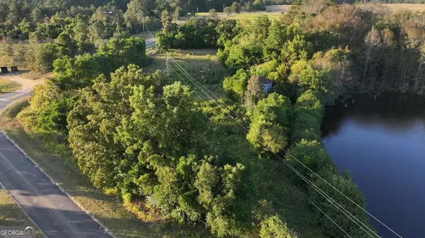 Butler, GA 31006,247 Parks RD