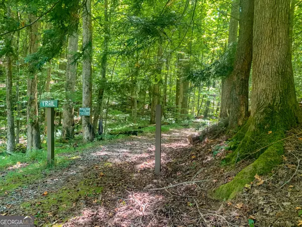 Ellijay, GA 30540,LT J349 Mountain View Court