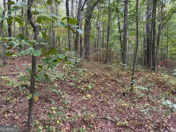 Waleska, GA 30183,3826 Salacoa #-TRACT C