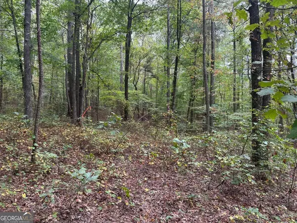Waleska, GA 30183,3826 Salacoa #-TRACT C