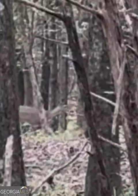 Athens, GA 30607,9992 Jefferson River RD