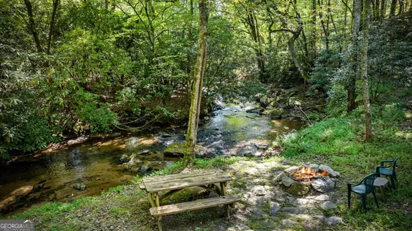 Mineral Bluff, GA 30559,374 Wolf Creek EST