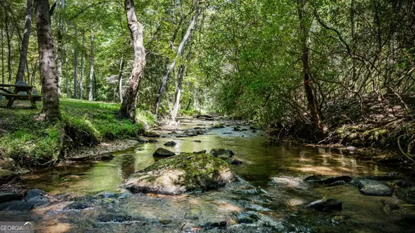 Mineral Bluff, GA 30559,374 Wolf Creek EST