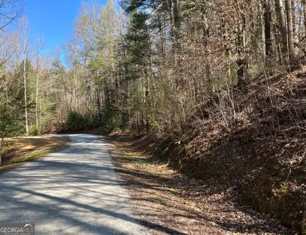 Ellijay, GA 30540,LT 24 Pickett Mill LN