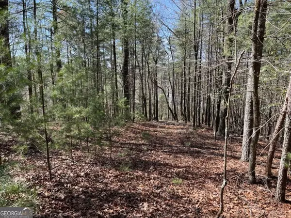 Ellijay, GA 30540,LT 24 Pickett Mill LN