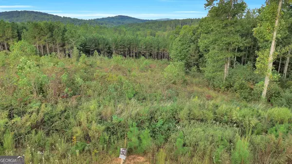 Talking Rock, GA 30175,LT 271 Highgrove DR