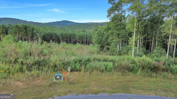 Talking Rock, GA 30175,LT 271 Highgrove DR